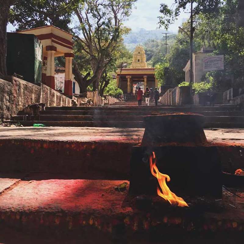 07_Sat-Inder_yamachara-800x800px