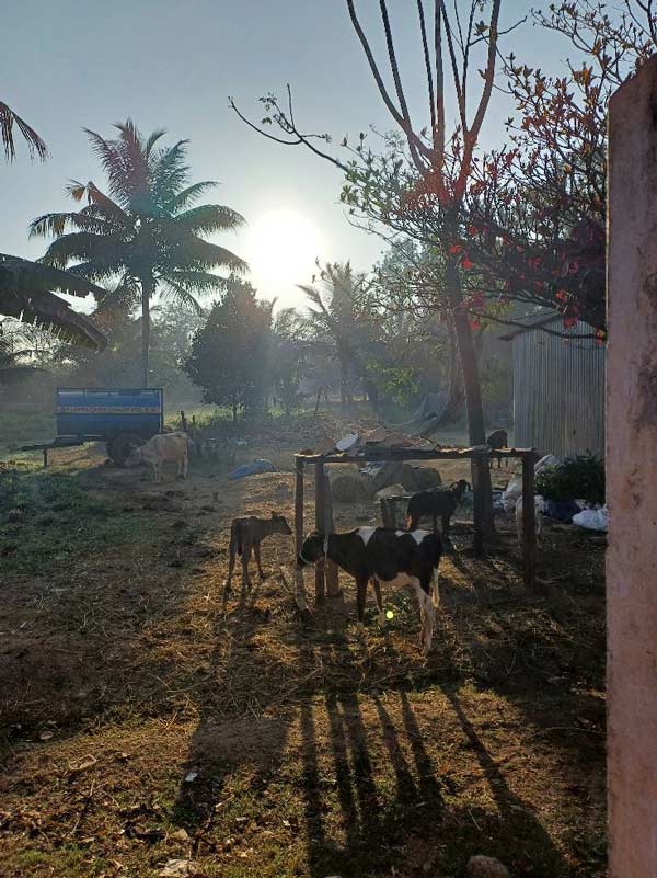 09_Sat-Inder_yamachara-600x800px